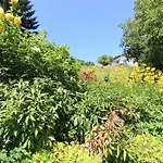 La Louviere Sauna Nature Centre A * La Bresse