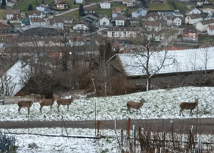 Apartmán La Louviere Sauna Nature Centre A La Bresse