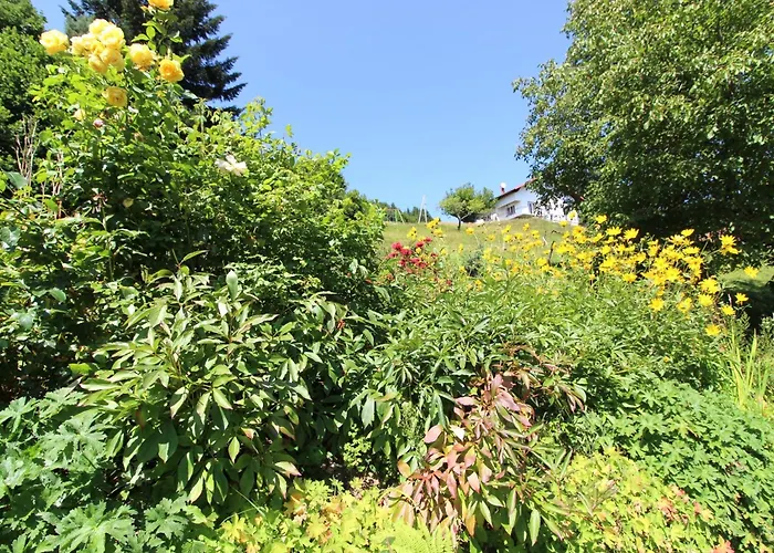 La Louviere Sauna Nature Centre A * La Bresse