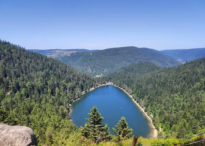 La Louviere Sauna Nature Centre A