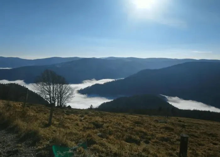 La Louviere Sauna Nature Centre A