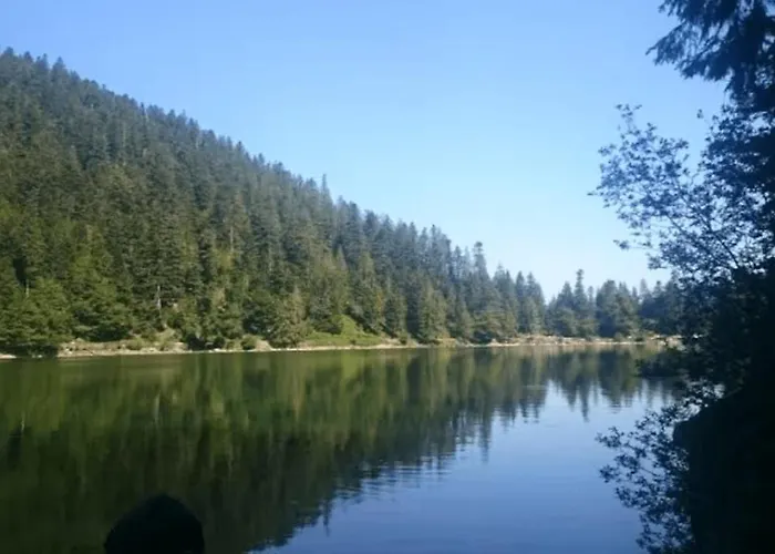 La Louviere Sauna Nature Centre A * La Bresse